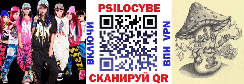 Галлюциногенные грибы Psilocybe  Купить где  Рубцовск 